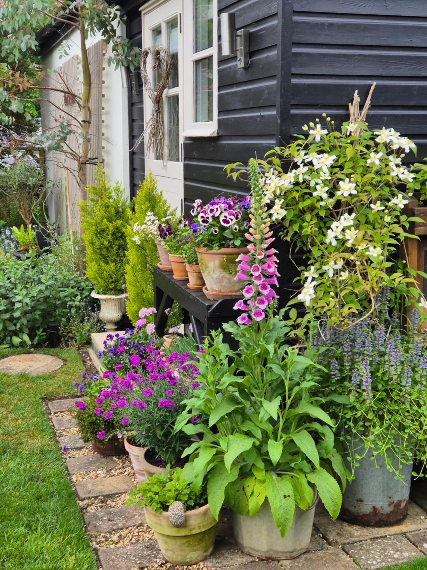 Owl Lodge Newport Pagnell Luaran gambar